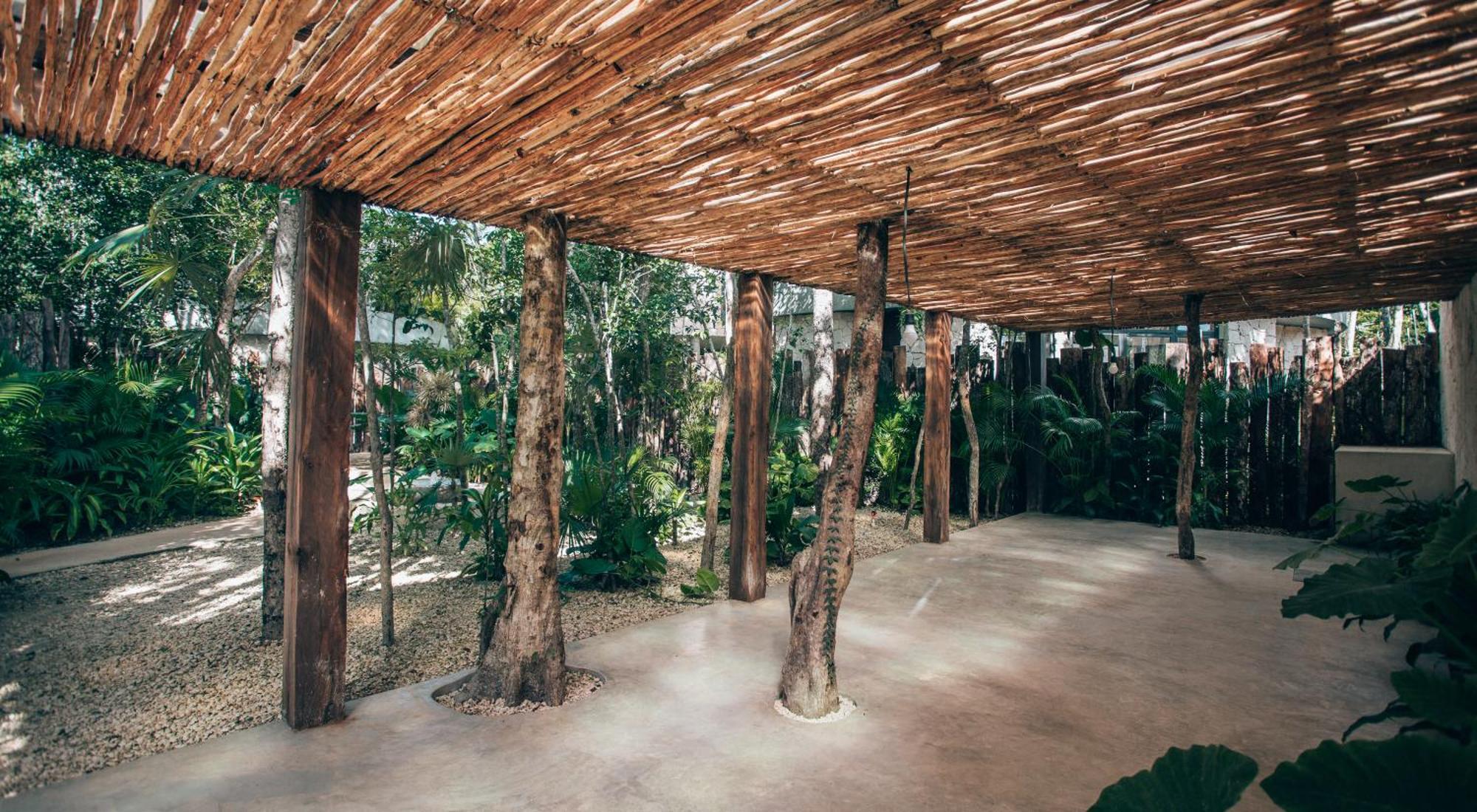 Tulum Jungle Luxury Villa -Pvt Pool - Concierge 6A Dış mekan fotoğraf